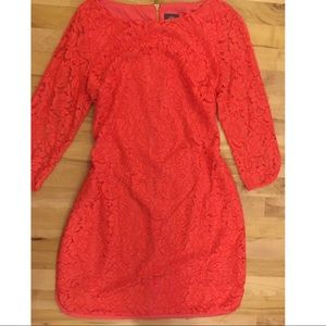 Vince Camuto lace sleeved dress
